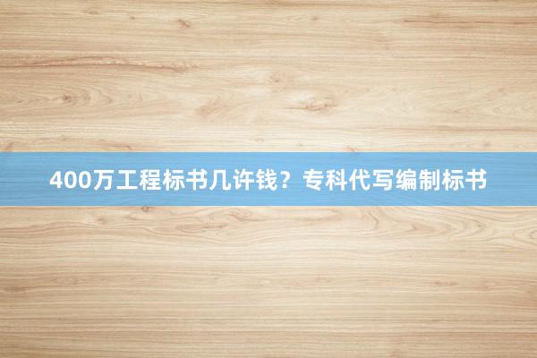 400万工程标书几许钱？专科代写编制标书