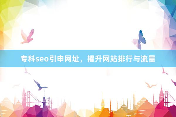 专科seo引申网址，擢升网站排行与流量